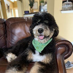 Meet your Posher, Tina